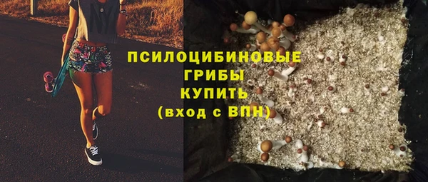 мяу мяу мука Нязепетровск
