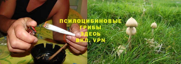 Альфа ПВП Няндома