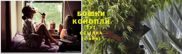 Альфа ПВП Няндома