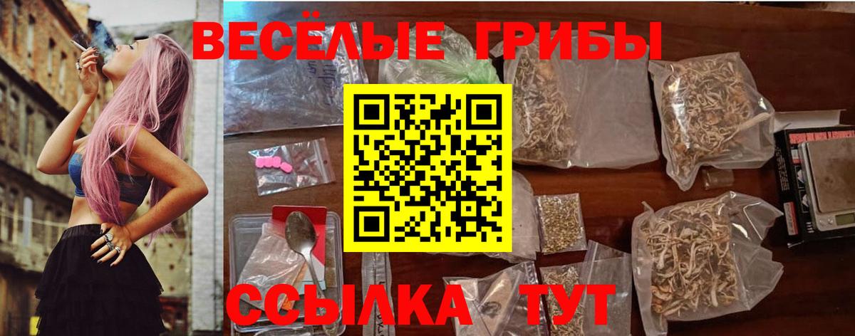 Богородицк  Галлюциногенные грибы MAGIC MUSHROOMS  Вход с VPN  Галлюциногенные грибы Magic Shrooms 