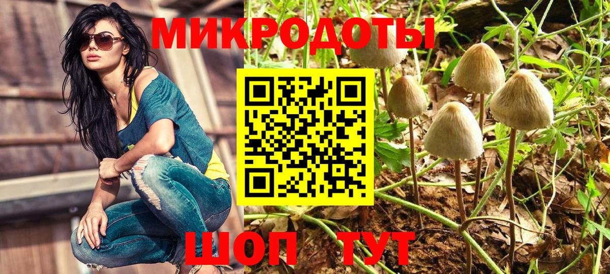 Псилоцибиновые грибы Psilocybine cubensis Богородицк