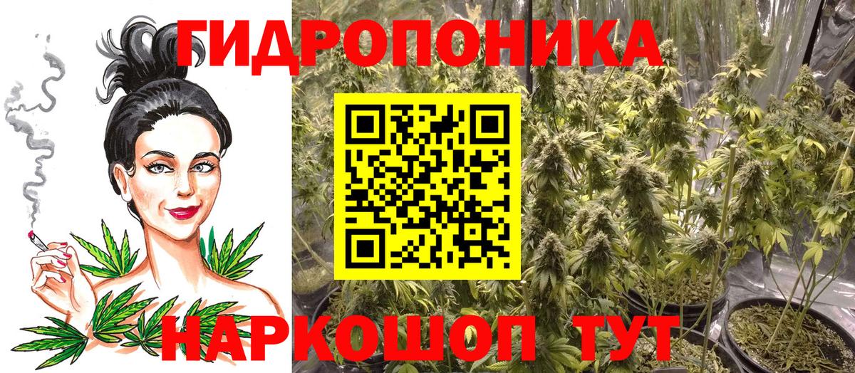 Конопля план  Шишки марихуана ГИДРОПОН  Богородицк  Канабис OG Kush 